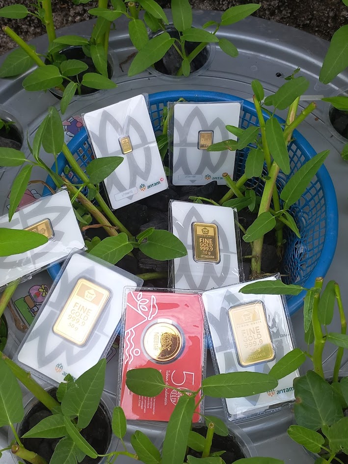 Jazira Gold Antam Series